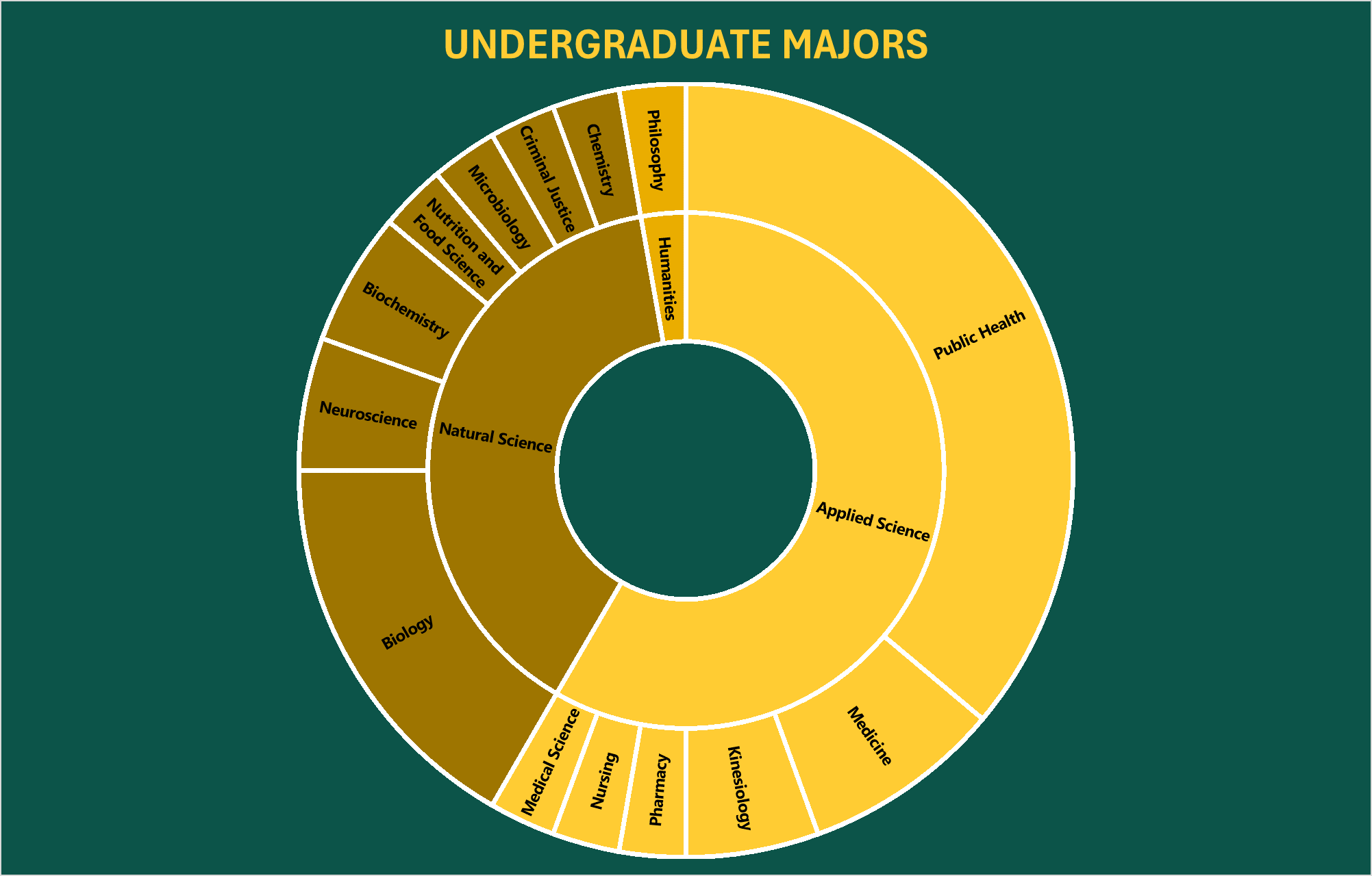 Sunburst graph displaying undergraduate majors